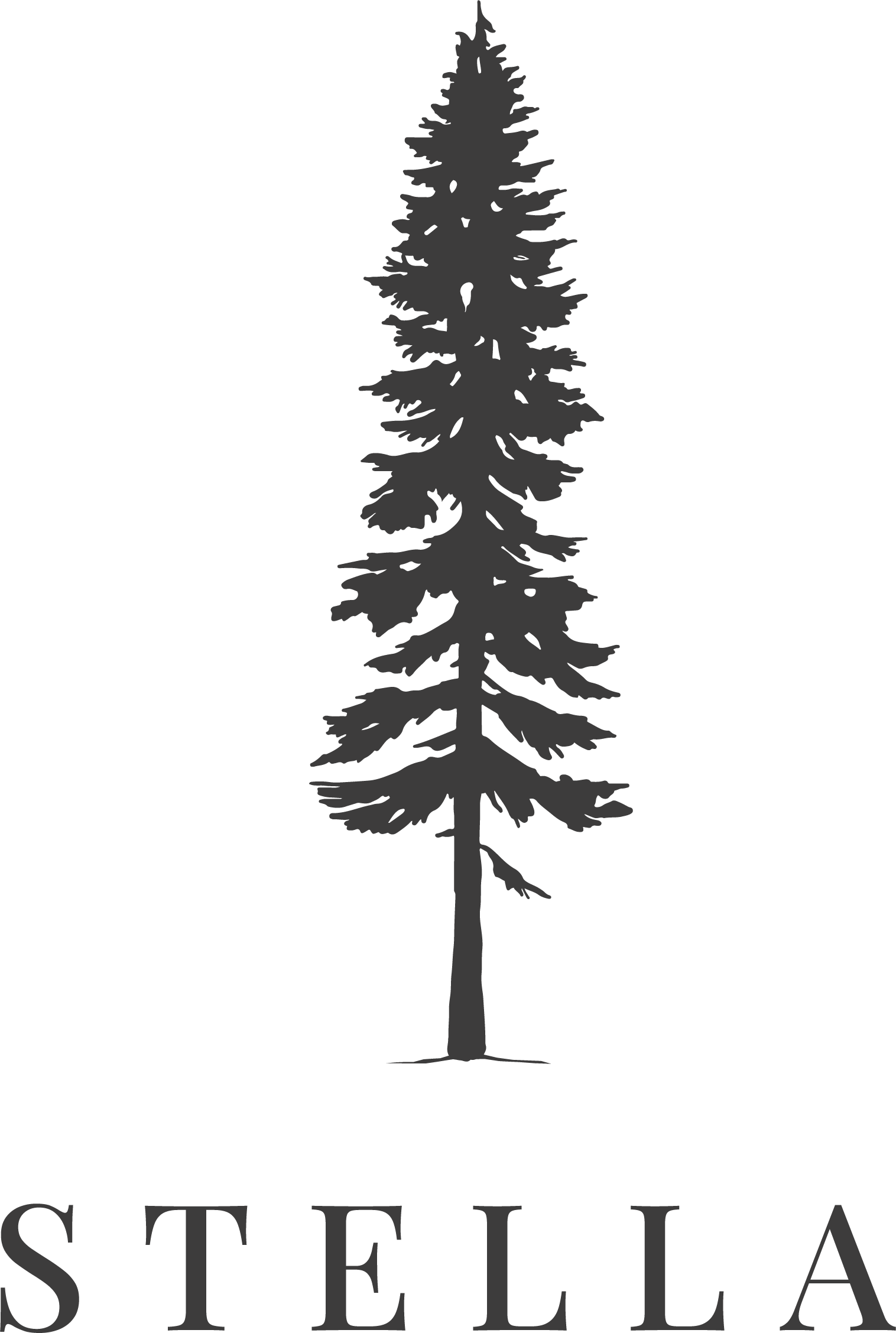 stella-at-gravity-haus-truckee-tahoe