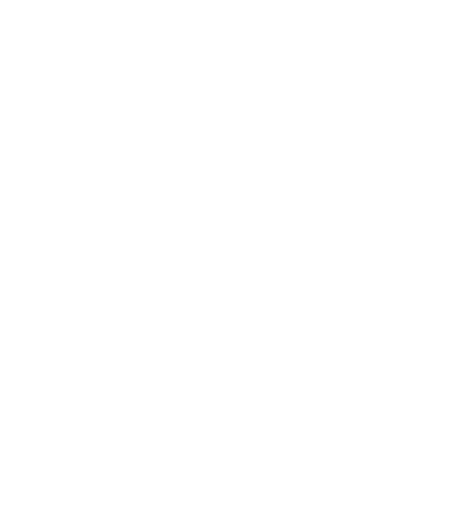 Stella Logo